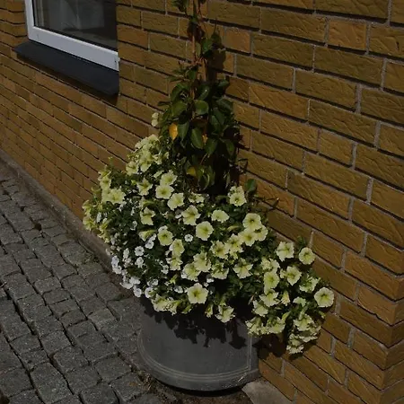 Egtved Hotel Hotel 2*