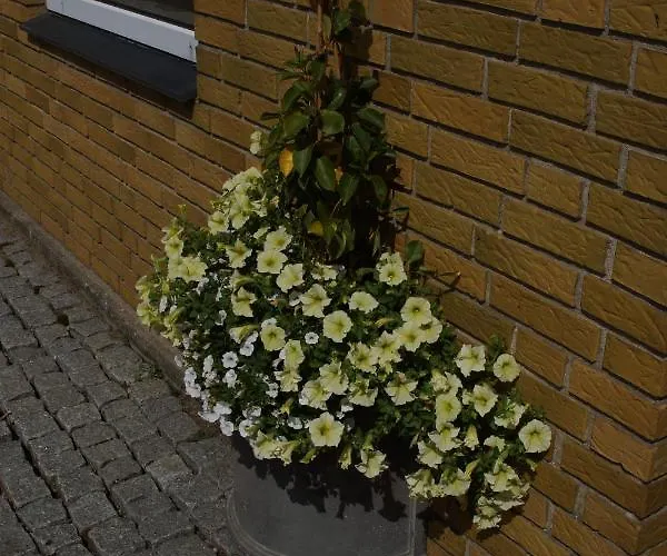 Egtved Hotel מלון 2*